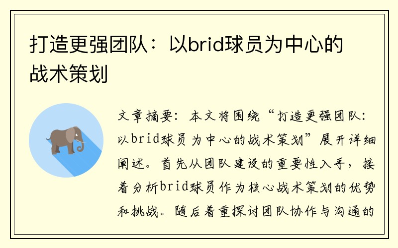 打造更强团队：以brid球员为中心的战术策划